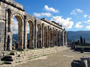 Site Archéologique de Volubilis