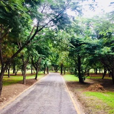 Parque Metropolitano