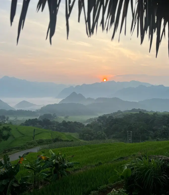 Gia Vien District