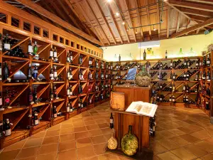 Casa Del Vino de Tenerife