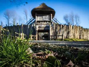 Irish National Heritage Park