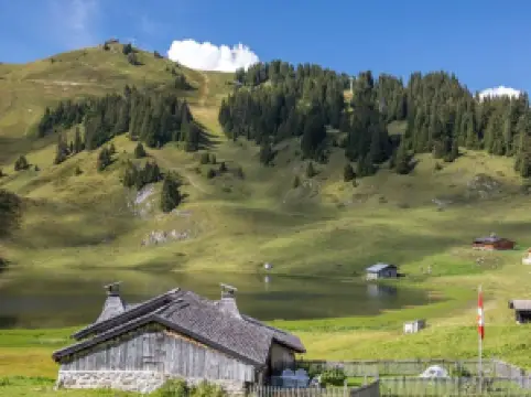 Télé-Villars-Gryon-Diablerets SA
