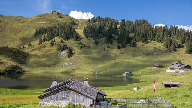 Télé-Villars-Gryon-Diablerets SA