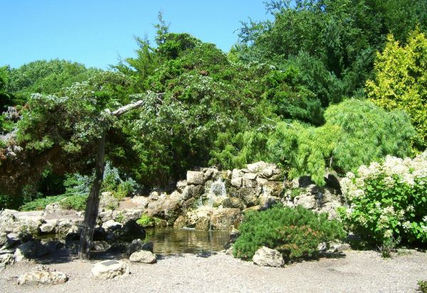 Lyndale Park Rose Garden