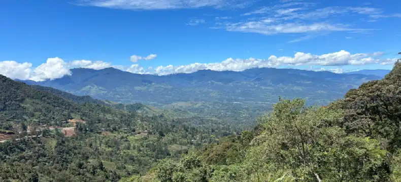 Hotels in Mount Hagen