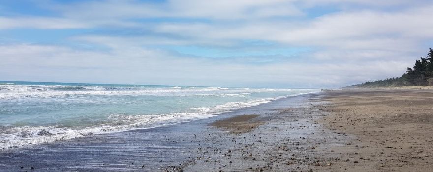 Leithfield Beach