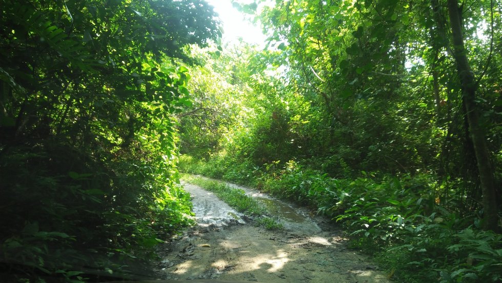 Pantai Kok