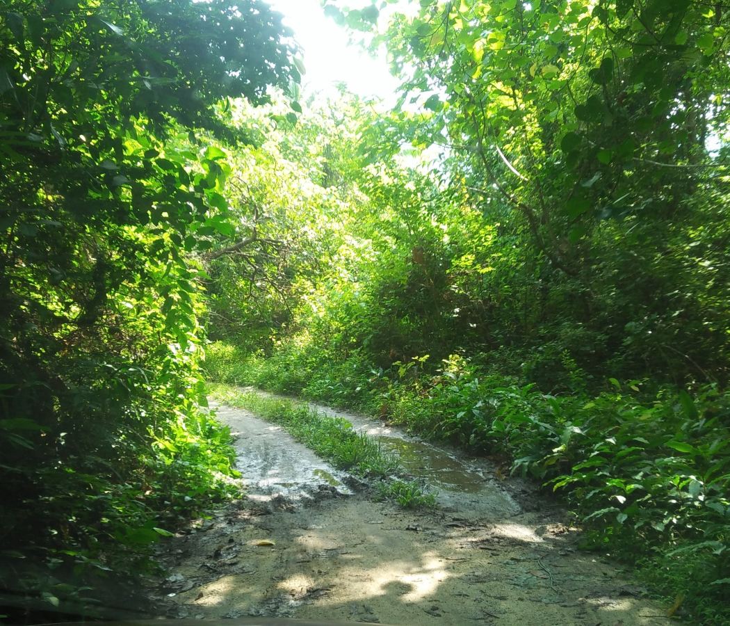 Pantai Kok