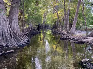 Cibolo Center for Conservation