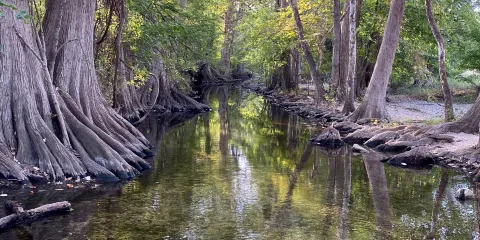 Cibolo Nature Center