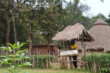 Kitale Museum