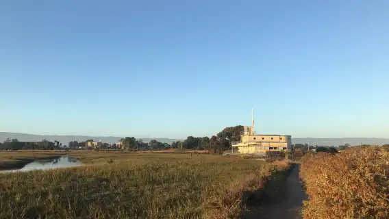 美國舊金山史丹佛大學+胡佛塔+Google總部+矽谷一日遊