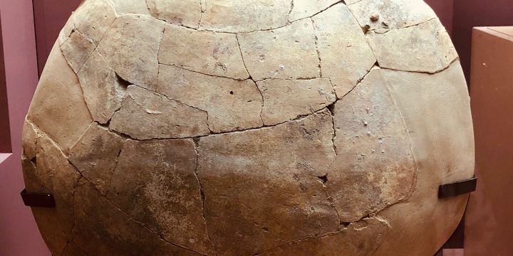 Sharjah Archaeology Museum