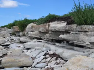 Vilsandi National Park