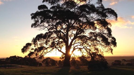Gosling Creek Winery