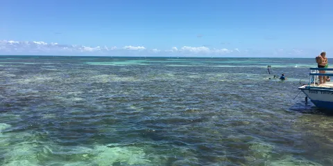 Piscinas Naturais Paripueira - Alagoas