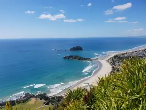 Mauao / Mount Maunganui summit