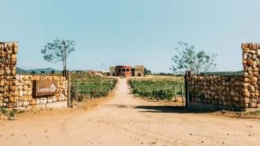 Villa de Juarez