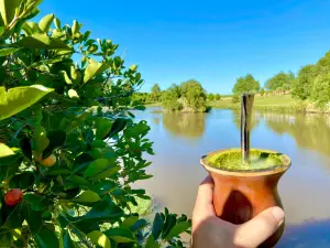 Parque das Tuias