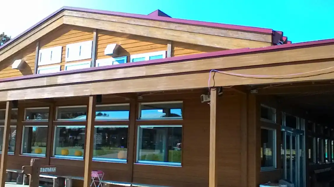 Hotels near Kururu Forest