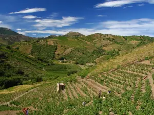 Terres des Templiers