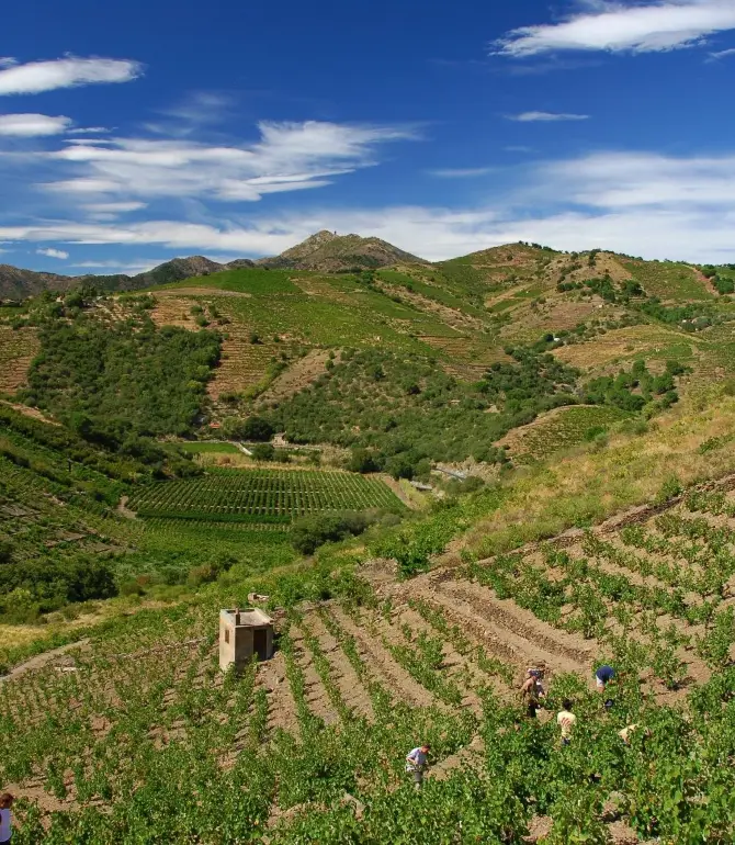 Banyuls-sur-Mer