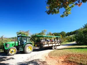 Apple Hill Orchard and Cider Mill