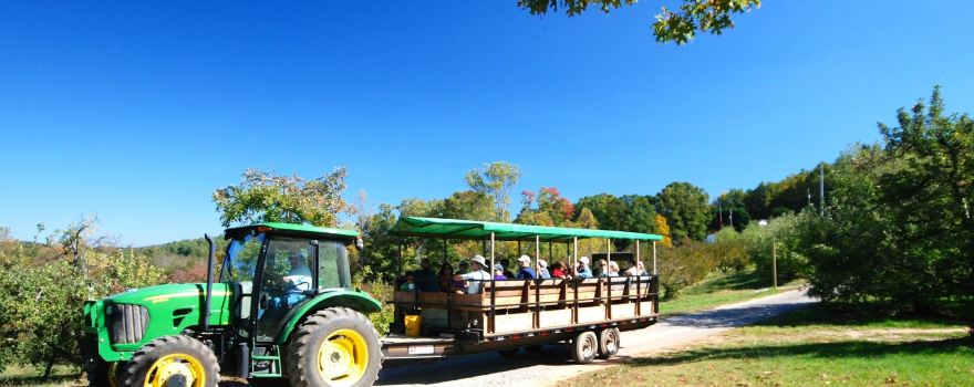 Apple Hill Orchard and Cider Mill