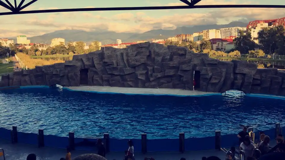 3_Batumi Dolphinarium