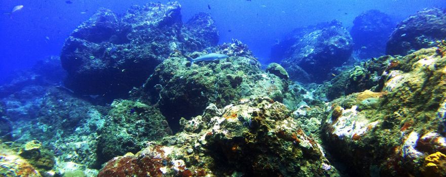 Corn Island Dive Center