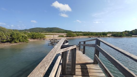 Martinique
