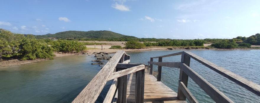 Savane Des Petrifications