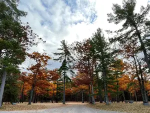 Burt Lake State Park