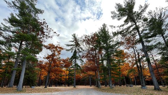Burt Lake State Park