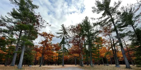 Burt Lake State Park