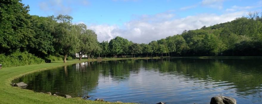 Big Brown Fish & Pay Lakes