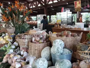 B. N. Farm