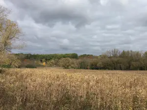 River Bend Nature Center