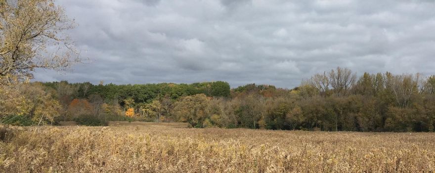 River Bend Nature Center