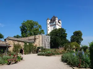 Kurfürstliche Burg Eltville