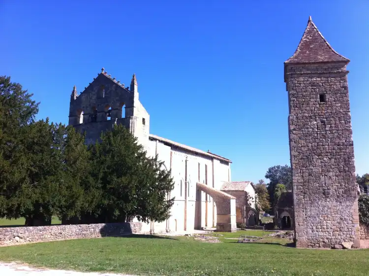 Blasimon
