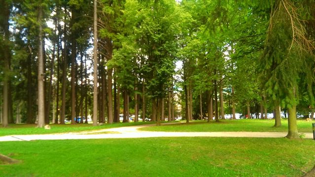 Parco Brigata Regina