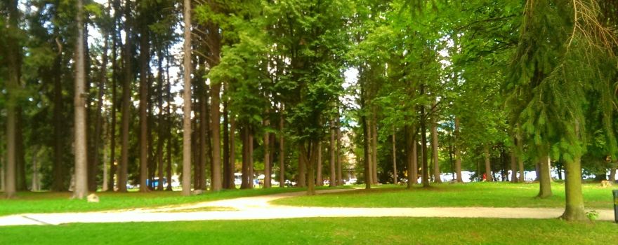 Parco Brigata Regina