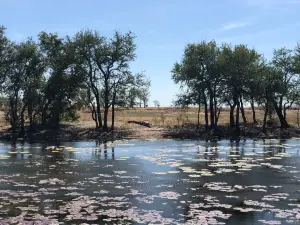 Marlgu Billabong