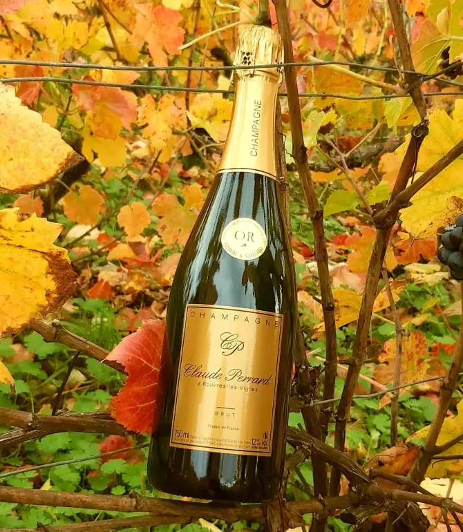 Rouvres-les-Vignes