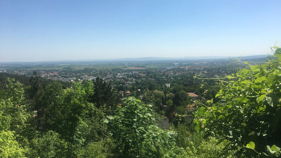 Kaiser Franz Josef Museum