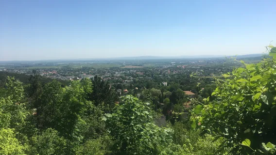 Kaiser Franz Josef Museum