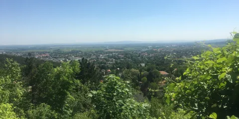 Kaiser Franz Josef Museum