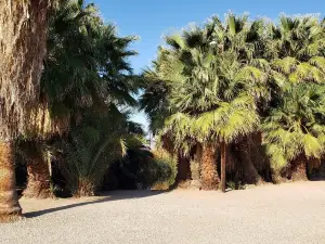 Old Fogey Hot Springs