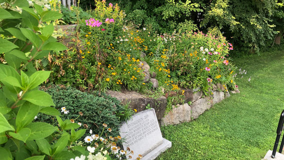 Cascade Park